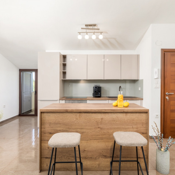 Kitchen, Villa Miromar, Villa Miromar with heated Pool, Loborika, Istria Pula